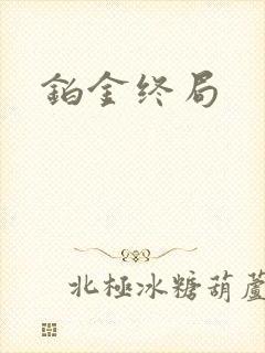铂金终局封面