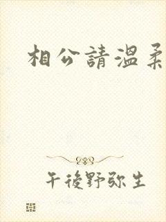相公请温柔一点封面