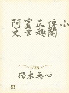阿宾正传小说全文笔趣阁