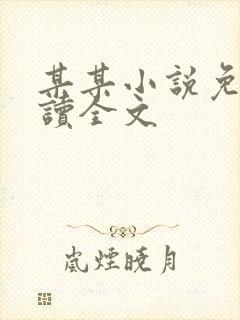 某某小说免费阅读全文