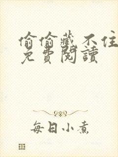 偷偷藏不住小说免费阅读
