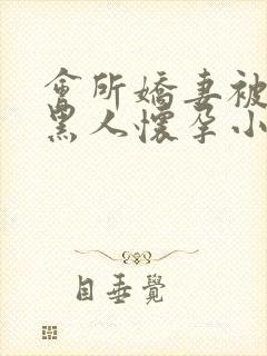会所娇妻被多个黑人怀孕小说封面