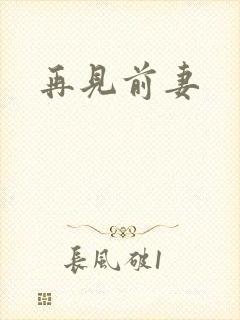 再见前妻