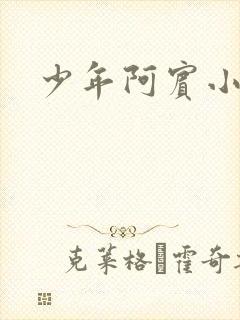 少年阿宾小说