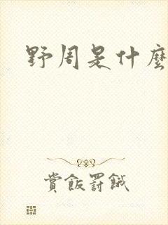 野周是什么意思