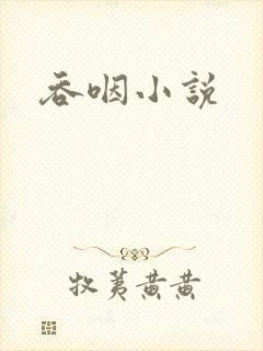 吞咽小说