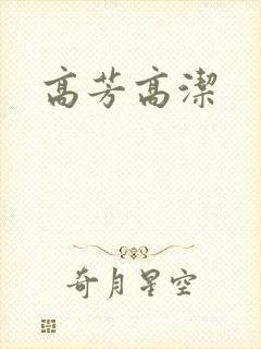 高芳高洁封面