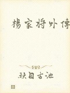 杨家将外传