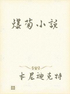 爆菊小说
