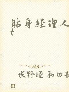 贴身经理人txt