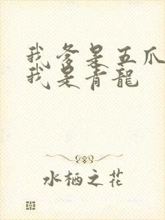 我爹是五爪金龙我是青龙
