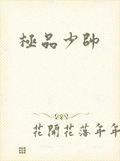 极品少帅封面