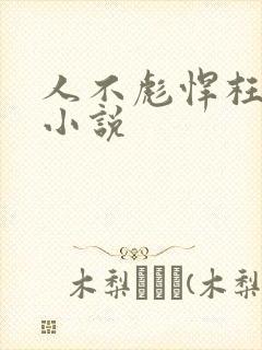 人不彪悍枉少年小说