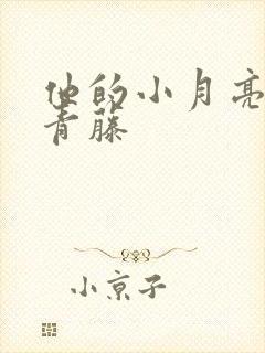 他的小月亮by青藤