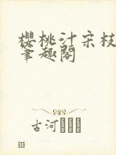 樱桃汁宋枝江野笔趣阁封面