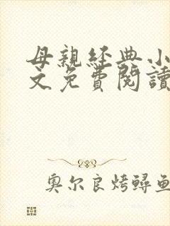 母亲经典小说全文免费阅读