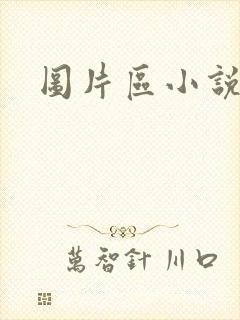 图片区小说区