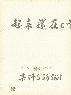 起来还在c骨科