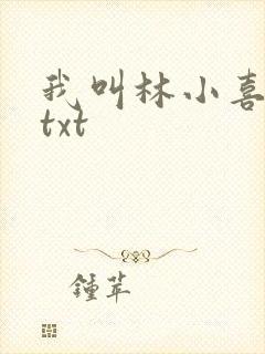 我叫林小喜小说txt封面