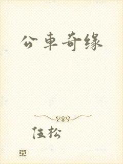 公车奇缘
