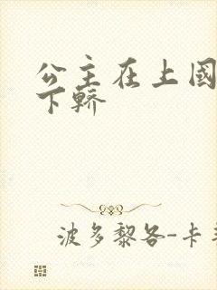 公主在上国师请下轿