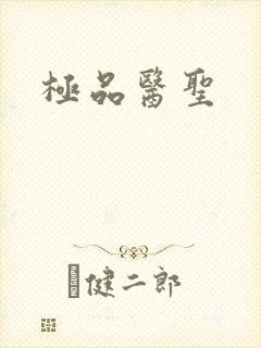 极品医圣