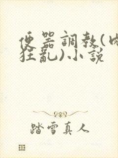 便器调教(肉体狂乱)小说