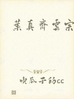 叶真齐云宗免费