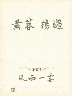 黄蓉 杨过