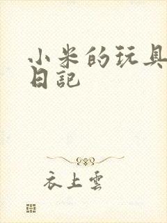 小米的玩具羞辱日记