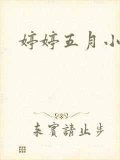 婷婷五月小说封面