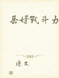 岳婿战斗力