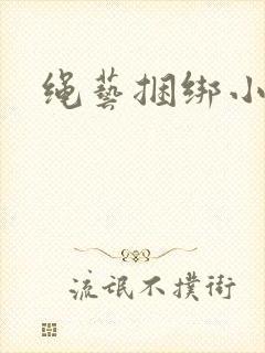 绳艺捆绑小说封面