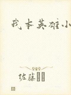 我本英雄小说