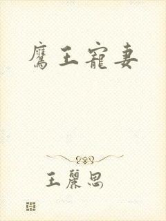 鹰王宠妻