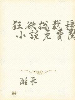 狂欲总裁穆非雪 小说免费阅读