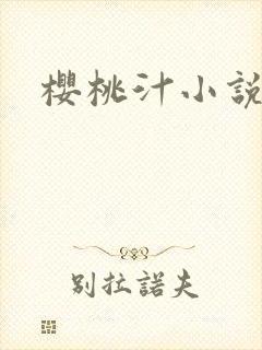 樱桃汁小说