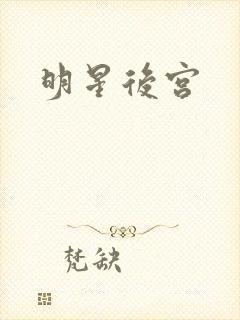 明星后宫