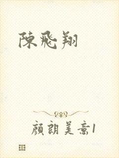 陈飞翔封面
