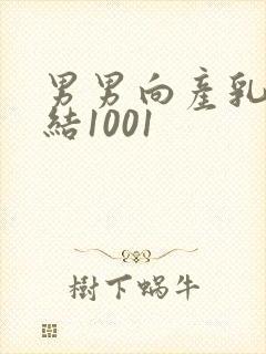 男男向产乳文小结1001封面