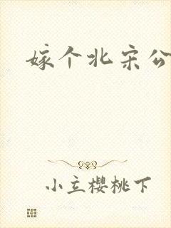 嫁个北宋公务员
