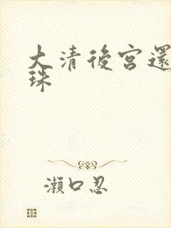 大清后宫还君明珠封面