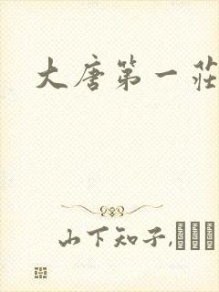 大唐第一庄封面