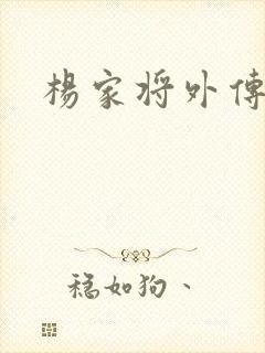 杨家将外传