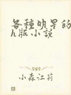 各种明星的综艺h版小说封面