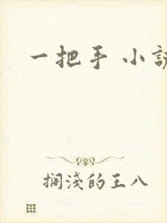 一把手 小说