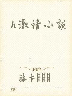 h激情小说封面