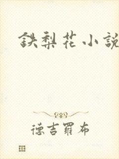 铁梨花小说封面