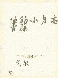 他的小月亮by青藤
