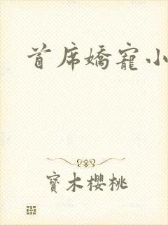 首席娇宠小情人